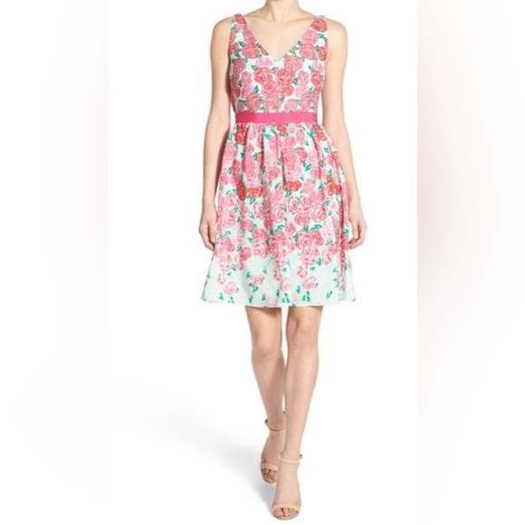 'Run for the Roses' Silk Fit & Flare Dress vinyard vines - Picture 4 of 4